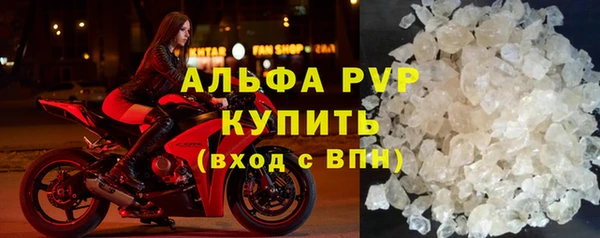 ГАЛЛЮЦИНОГЕННЫЕ ГРИБЫ Семёнов