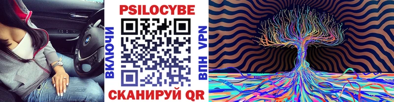 наркота  Кудрово  Галлюциногенные грибы Magic Shrooms 